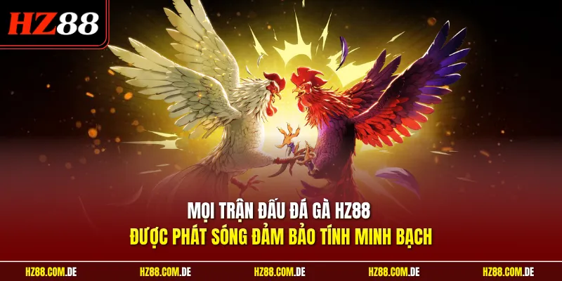 Mọi trận đấu đá gà HZ88 được phát sóng đảm bảo tính minh bạch