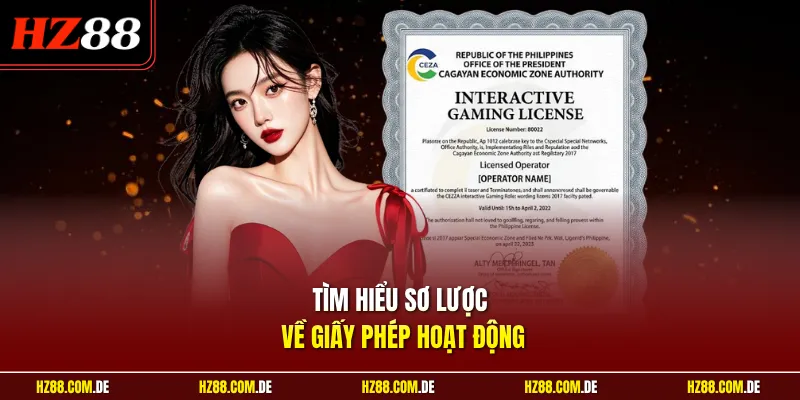 Tìm hiểu sơ lược về giấy phép hoạt động